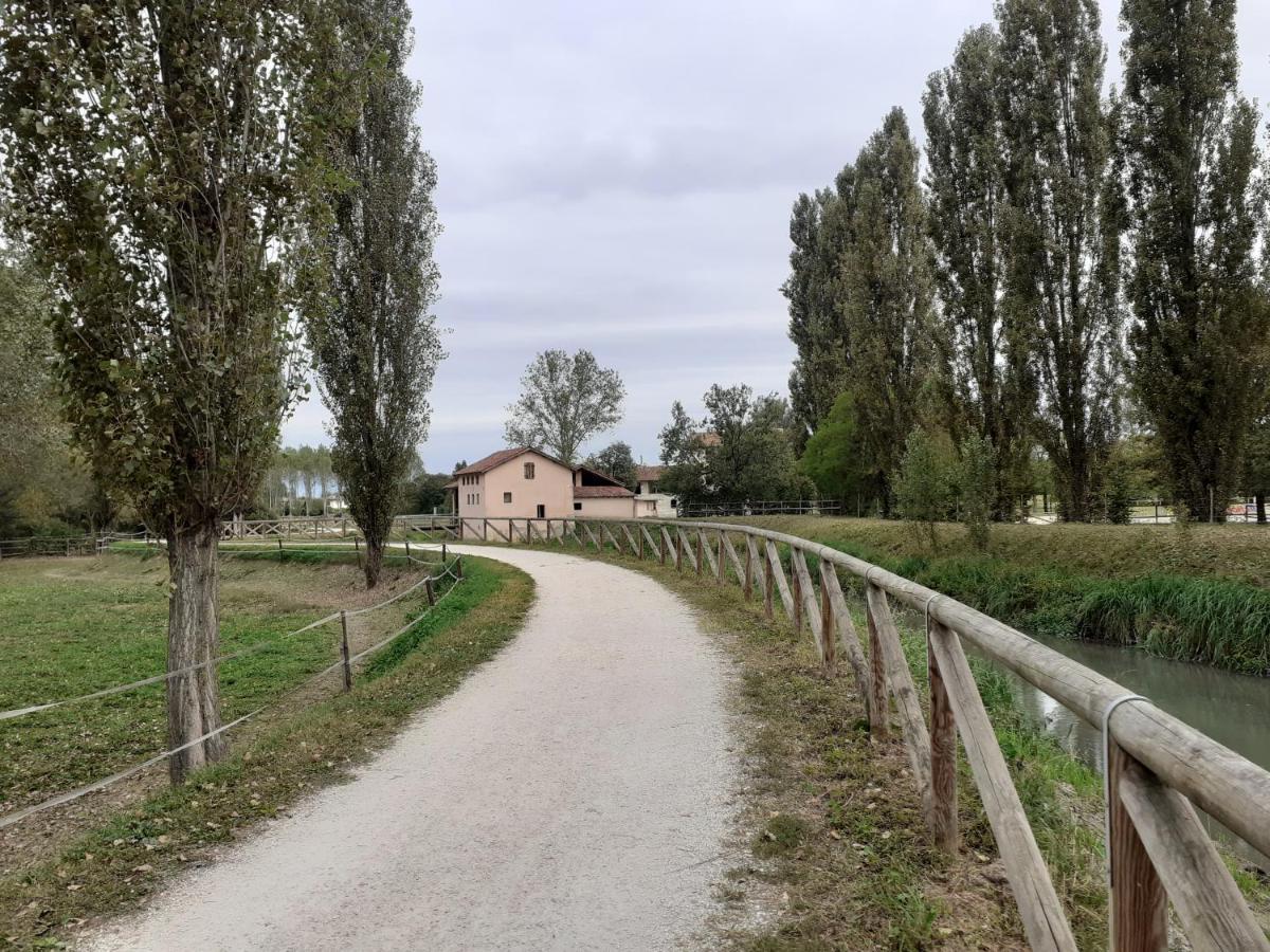 Apartmán La Casa Di Anna Scorzè Exteriér fotografie